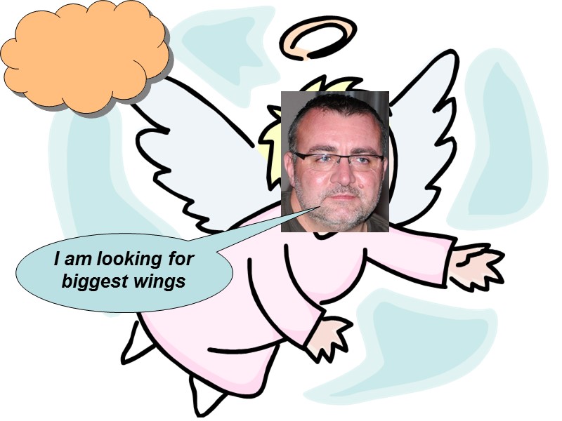 I am looking for biggest wings